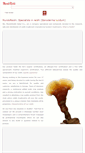 Mobile Screenshot of mundoreishi.com